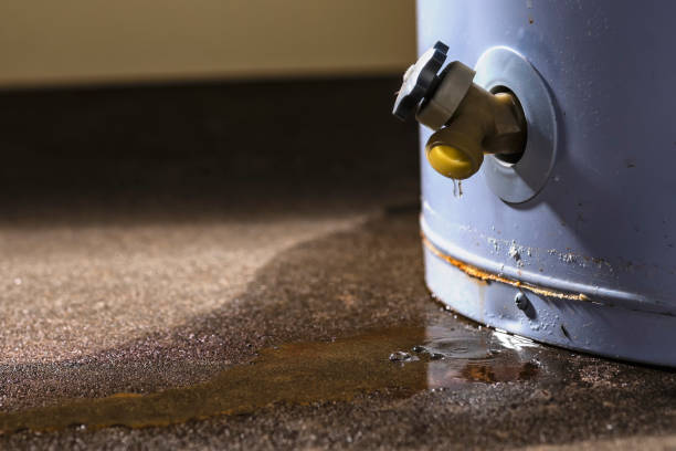 Best Flood damage cleanup  in Townsend, MT