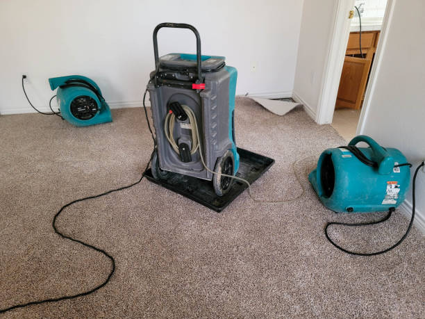Carpet water damage restoration in Townsend, MT