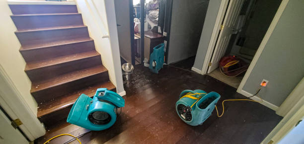 Best Water damage cleanup near me  in Townsend, MT
