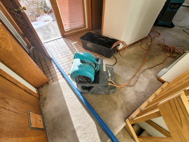 Best Basement water damage restoration  in Townsend, MT