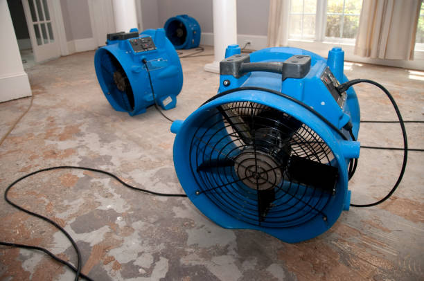 Best Flood restoration services  in Townsend, MT