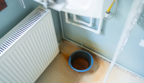 Best Ceiling water damage repair  in Townsend, MT