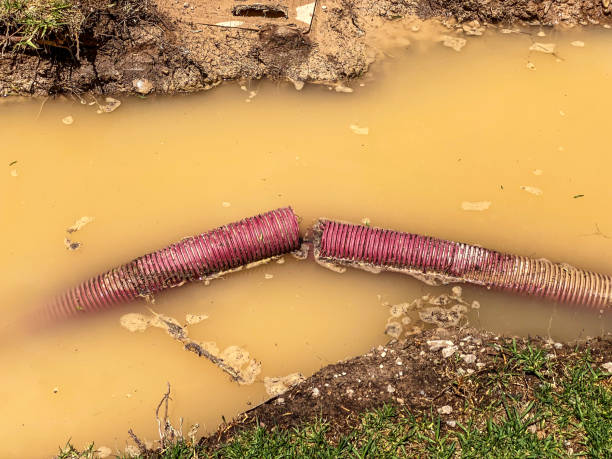 Best Residential water damage restoration  in Townsend, MT