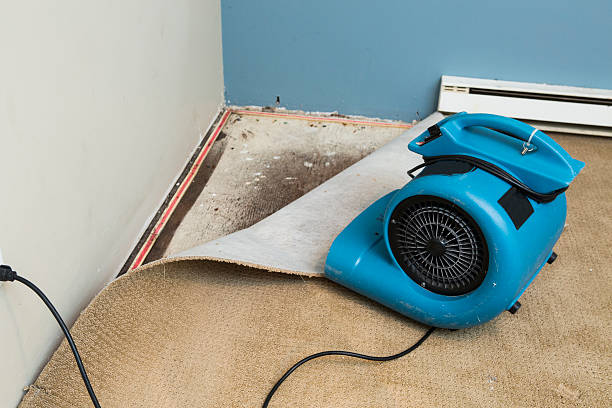 Best 24-hour water damage restoration  in Townsend, MT